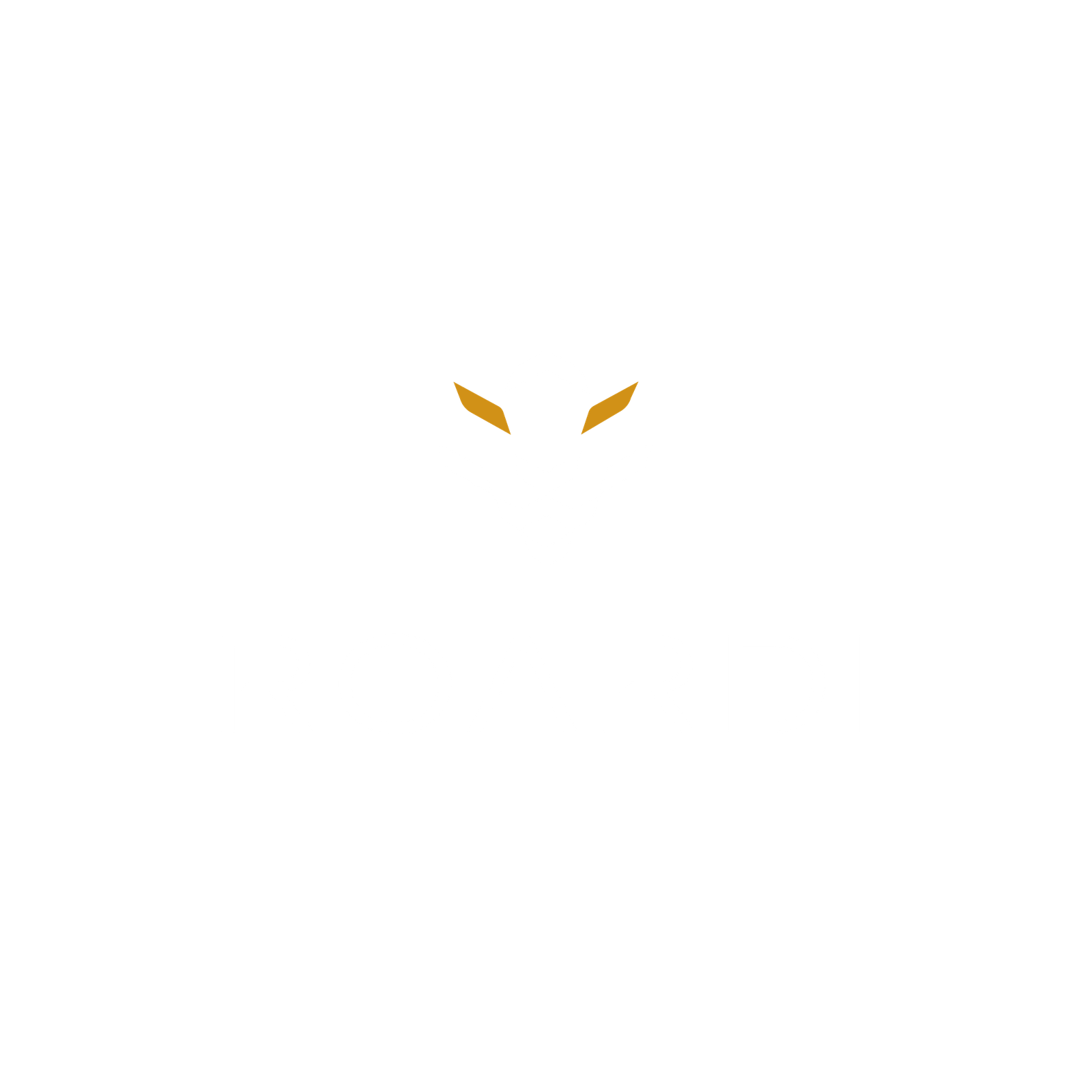 Logo de Roardi